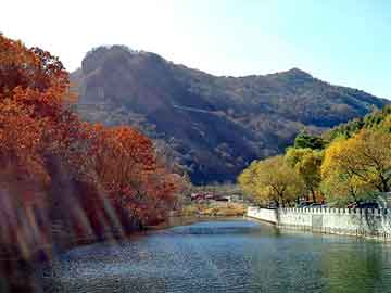 新澳天天开奖资料大全旅游团，生猪催肥灵